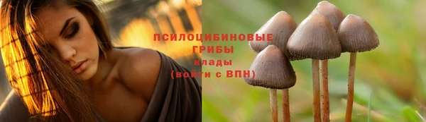 а пвп мука Армянск