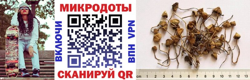 Галлюциногенные грибы GOLDEN TEACHER  Почеп 